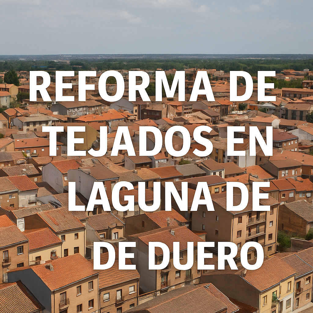 Reforma de tejados en Laguna de Duero